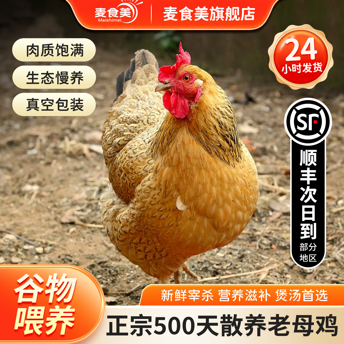 正宗农家散养老母鸡走地鸡500整鸡/整鸡制品