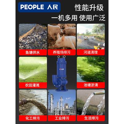 人民国法标兰RE-FLWDQ污水泵220V工地流化高粪池潜水泵380V扬程大