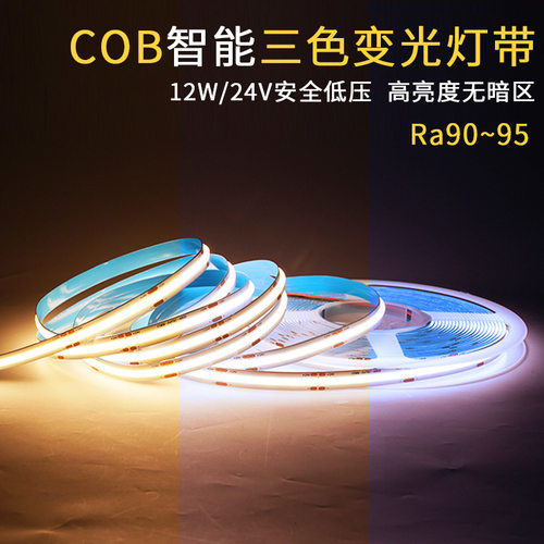 cob双色灯带家用 客厅卧室变光柔性高显智能调光调色低压24v灯带