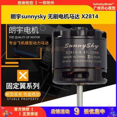 朗宇sunnysky无刷马达X2