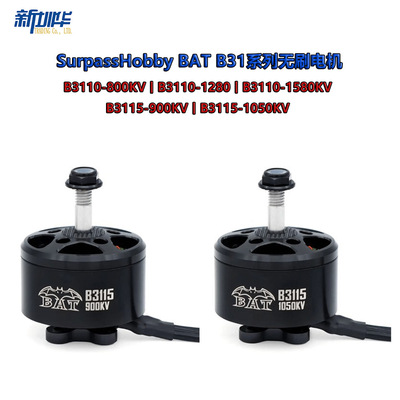 SurpassHobbyBAT3110/5