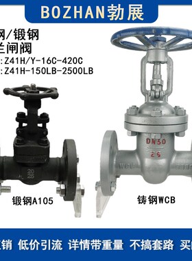 法兰闸阀Z41H-16C25C40C64C100C美标150LB-2500LB铸钢WCB锻钢A105