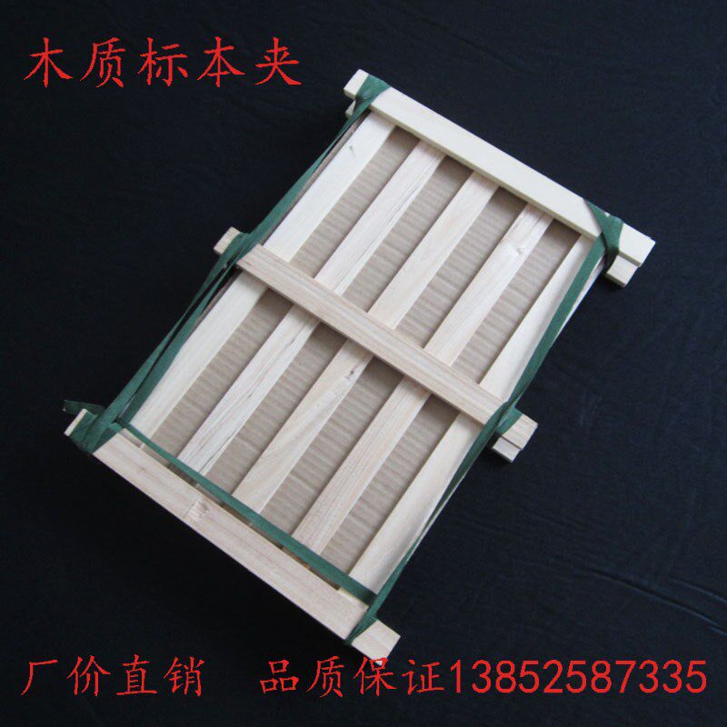 植物标本夹带吸水纸全套 50*40 木条式标本夹 树叶夹 教学仪器