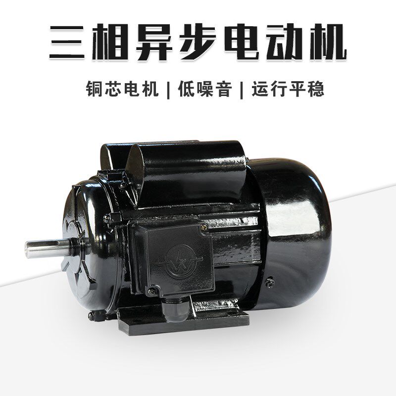 立卧式三相异步电动机750W 220V 380V 铜芯电机 卧式立式国标电机