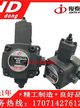 俊泰JUNLINGPAI油泵JUNTA叶片泵VP-SF-12/15/20/30/40-D VP-20D