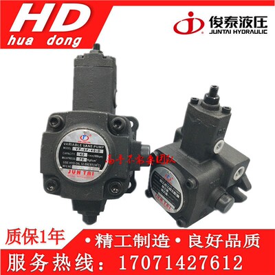 俊泰JUNLINGPAI油泵JUNTA叶片泵VP-SF-12/15/20/30/40-D VP-20D