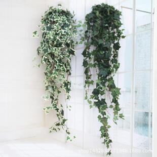 仿真大束常春藤绿萝藤条婚庆植物墙家居装饰绿植物绿叶子壁挂
