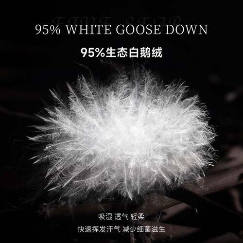 轻托护颈复合只枕枕头枕芯枕95白鹅绒枕RH08头护颈椎助睡眠头枕一
