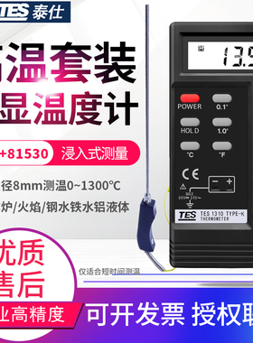台湾泰仕TES1310+NR81530手柄高温探头1300液体火焰炉温测试仪