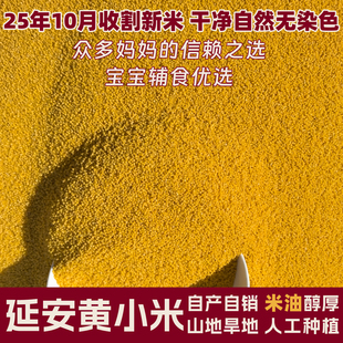 黄小米2025新米陕北小米延安优质有机米脂婴儿辅食杂粮黄小米粥