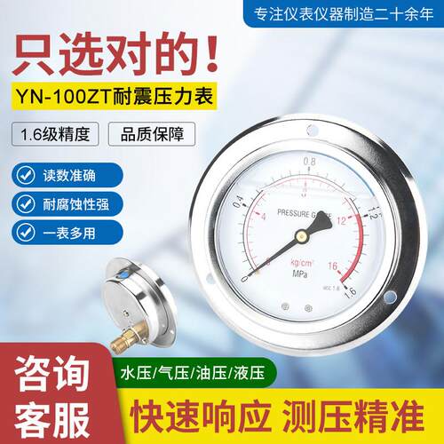 YN-100ZT轴向带边耐震压