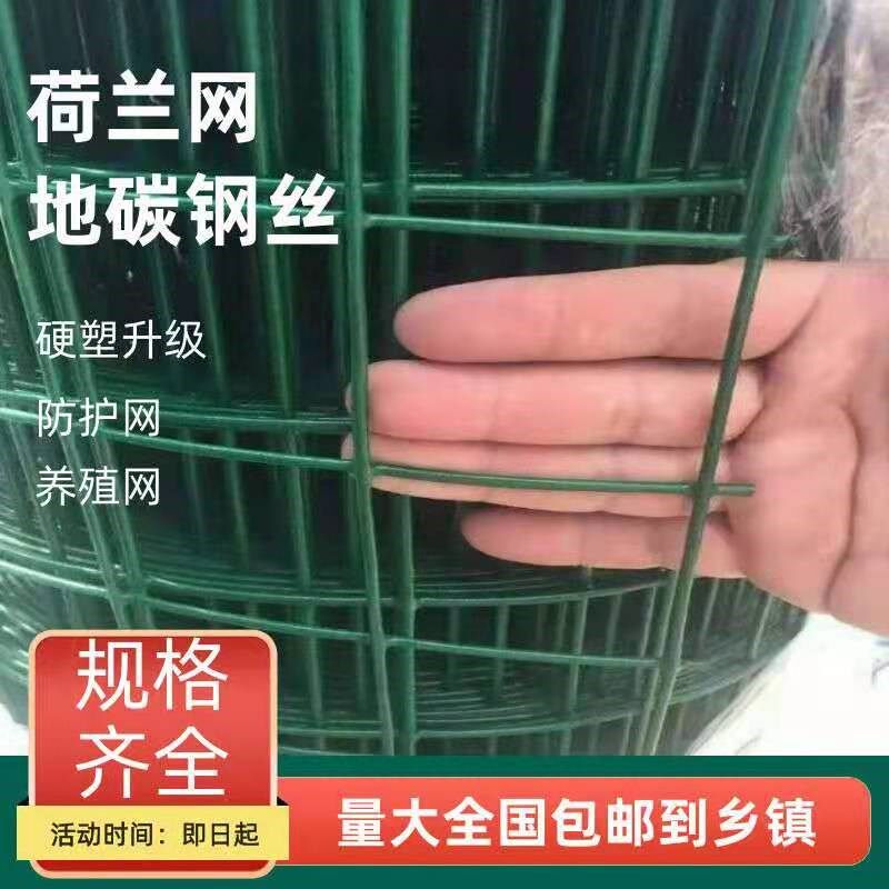 硬塑6厘米孔铁丝围栏网家用围栏户外圈地果园隔离栅栏包塑铁丝网