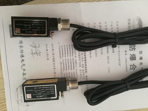 ALDM0980Ab电磁阀防爆线圈110V AC 防爆线圈ModeI: Ex0991 AC110V