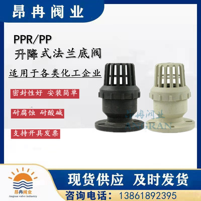 PPR RPP 防腐 耐酸 塑料法兰 丝口承插底阀DN40 50 65 80 100 150