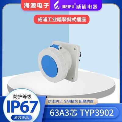 WEIPUTYP3902威浦防水工业暗装斜式插座  63A3芯 220V 2P+E  IP67