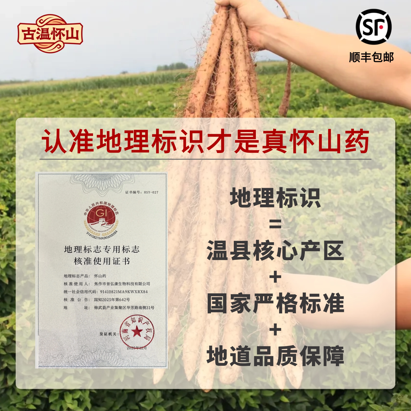 现挖焦作温县铁棍鲜山药顺丰包邮老人孩子早餐代餐温和蒸煮煲皆可