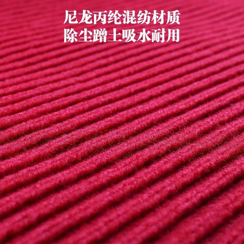 地毯商用酒店蹭土奶茶店美容店脚垫门垫防滑迎宾防尘地垫双条纹