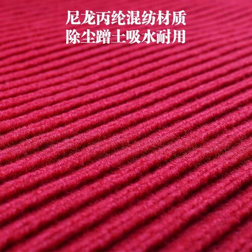 地毯商用酒店蹭土奶茶店美容店脚垫门垫防滑迎宾防尘地垫双条纹