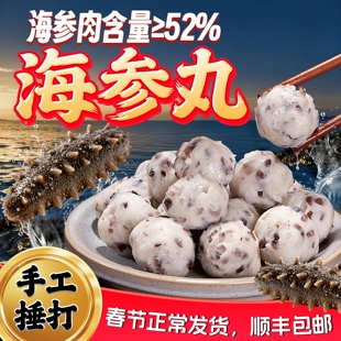 手工海参鱼丸海参含量≥52%海鲜丸子鱼丸牛肉丸火锅烧烤食材宴席