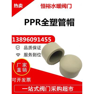 PPR管帽盖20 25 32 4分ppr管材管件封头热熔堵头水管接头配件110