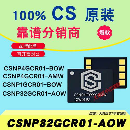 CSNP 4GC 1GCR01-BOW CSNP4GCR01-AMW/DWP 32GCR01-AOW原装CS存储