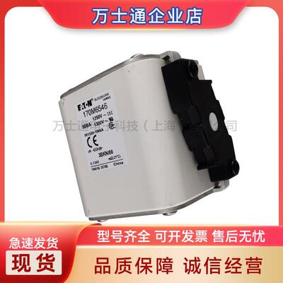 170M6646 170M6647 170M6648 170M6649 170M6650 170M6651熔断器