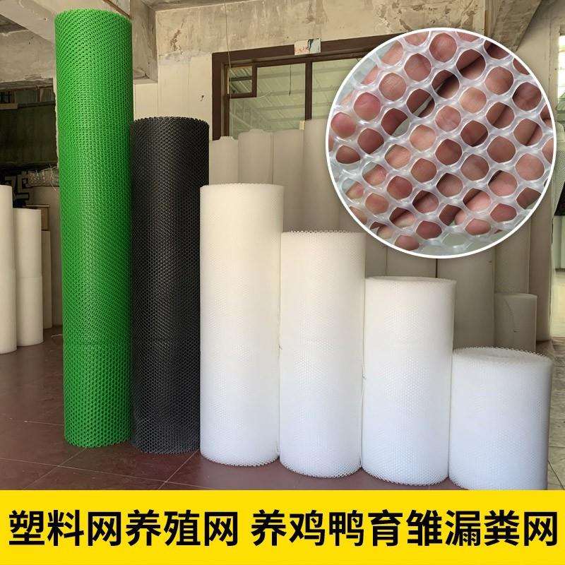 绿色塑料平网格防护养鸡围栏家禽养殖胶网小鸡鸭鹅苗垫网漏粪网片