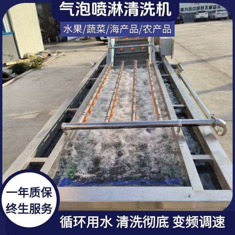 胡萝卜大枣芹菜高压喷淋清洗机果蔬气泡清洗机连续式青菜清洗设备,清洗/食品/商业设备,其他食品加工设备,淘宝优惠券,粉丝福利购,淘宝优惠卷