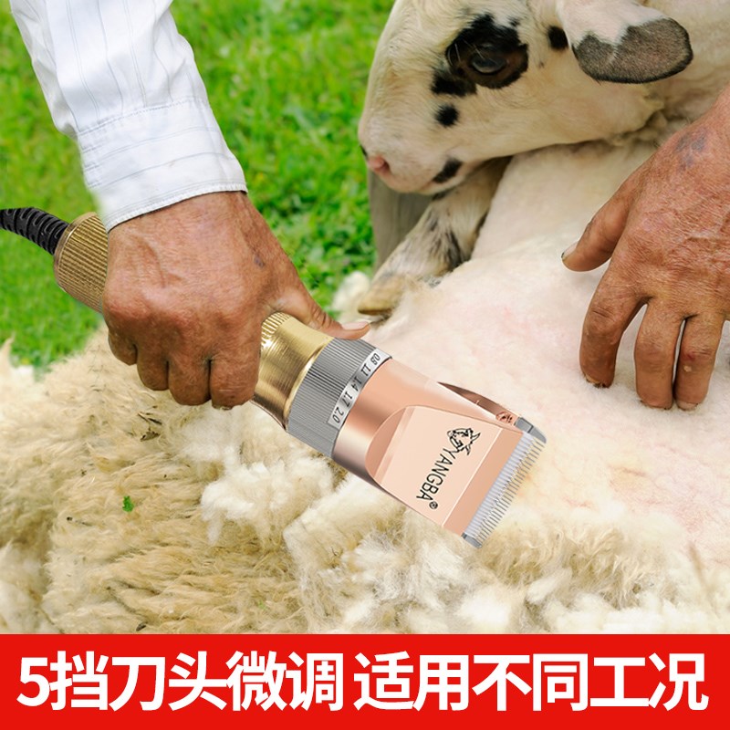 36V羊霸两档调速羊毛剪宠物电推剪剃羊毛推子狗兔毛机500瓦大功率
