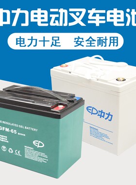中力小金刚电动叉车配件蓄电池12V30A65A85A天能电池大地牛