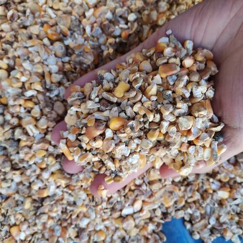 玉米粒差的瘪苞米粒喂鸡鸭鹅做肥料动物碎玉米50斤装打窝钓鱼