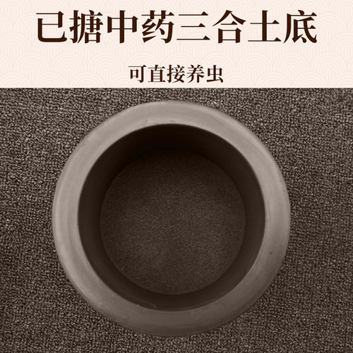 蛐蛐蟋蟀罐养盆黑虫油葫芦用具品手工拉坯山东黄河澄浆泥精制包邮