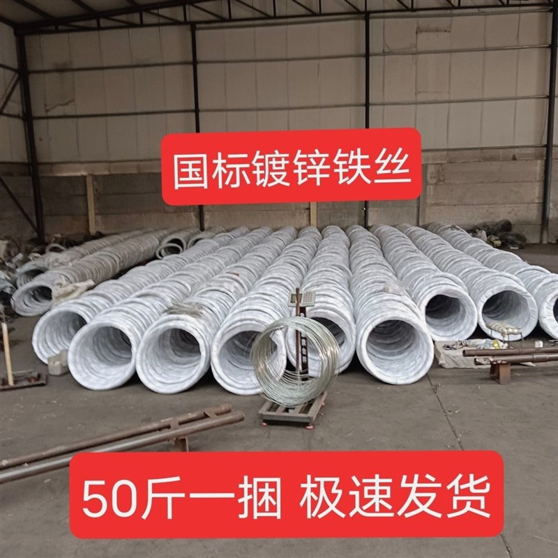 德国进口镀锌铁丝线建筑工地8 10 12 14 16 22 26号搭大棚园艺绑