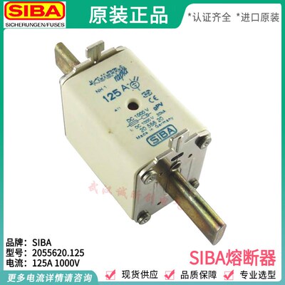 siba/ULTRA/rapid熔断器2055620 100A 125A NH1 DC1000V gPV 30KA