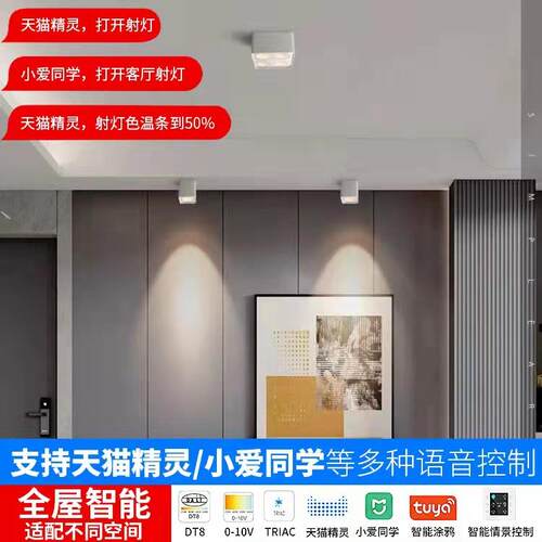 智能家居无主灯明装方形射灯免开孔双头COB筒灯客厅过道商铺吸顶