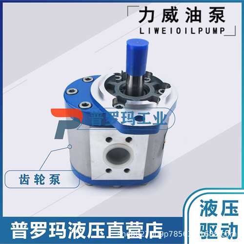 农业机械转向助力泵液压助力泵 QC32/20-WZ （13齿）动力转向油泵