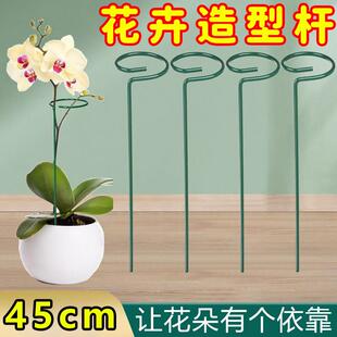 植物防倒伏支架支伸缩杆铁艺绣球吊兰园艺固定架爬藤花卉朱顶红花
