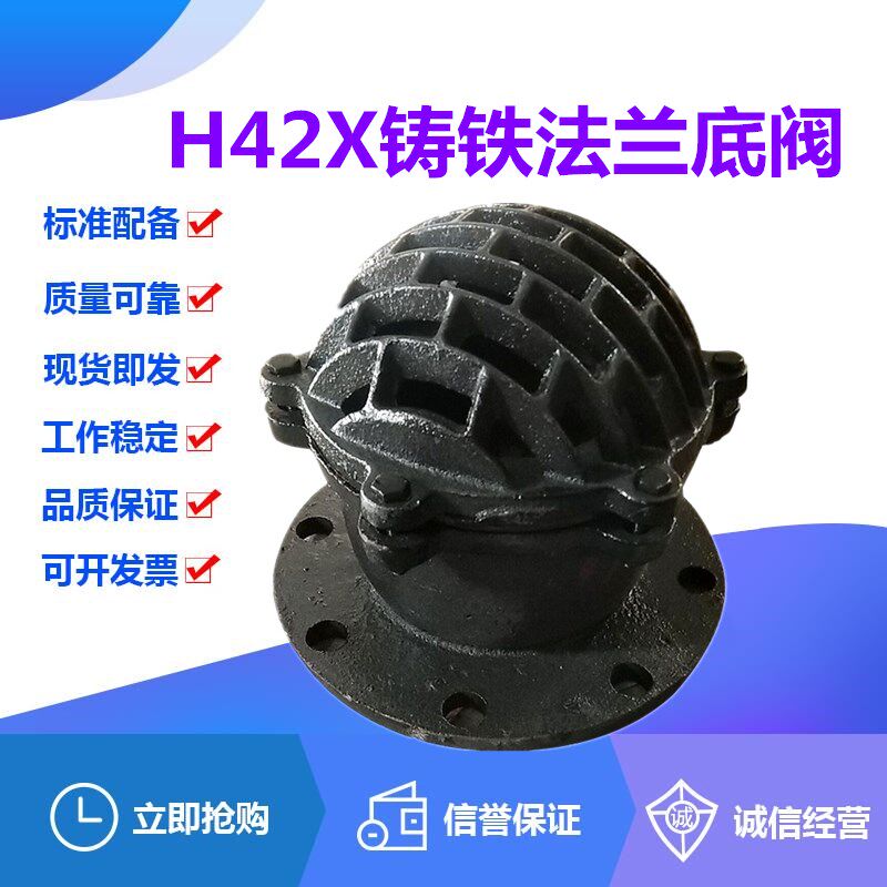 铸铁法兰底阀H42X-6/10水泵吸水莲蓬头弹簧升降式止回阀