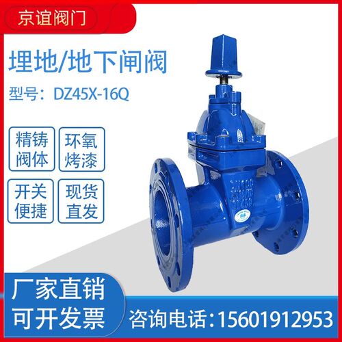 DZ45X-16Q埋地下法兰暗杆弹性座封软密封闸阀dn100门开关截止阀80