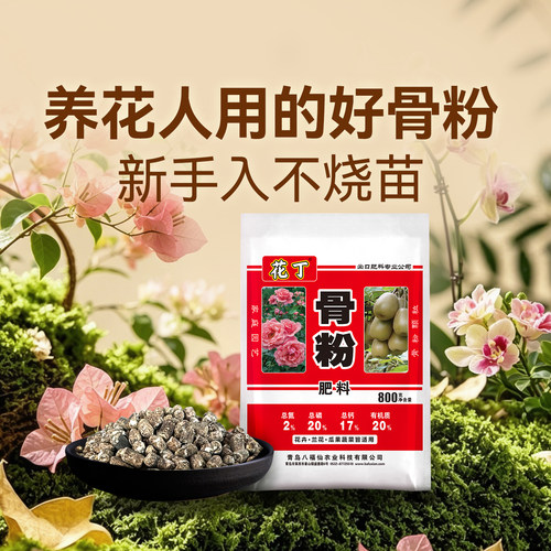 植物喝大骨汤，花多花艳花期长