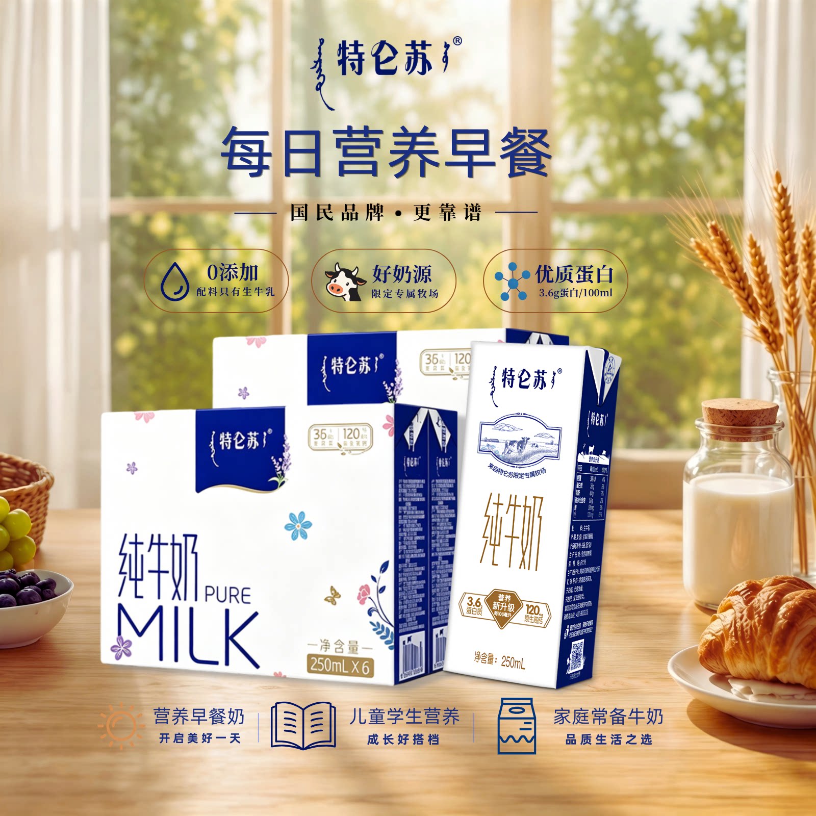 蒙牛特仑苏纯牛奶250ml*6盒2提装