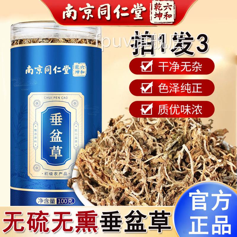 南京同仁堂垂盆草搭中药材官方采正品泡水泡茶喝深山摘自然晾晒FP
