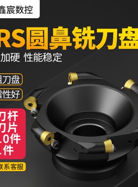 TRS R6 R8数控加工中心刀盘R5圆鼻铣刀盘端面50 63 80铣刀片1204