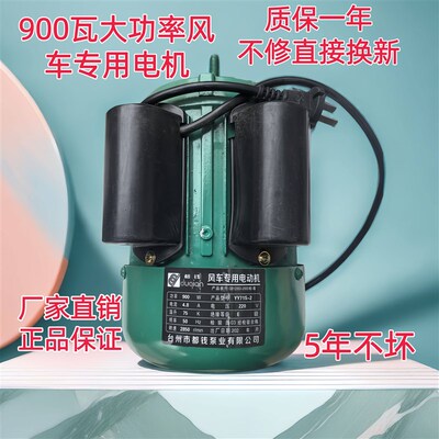 正品900瓦大功率风车专用电机220V两相电2850转电机马达风车专用