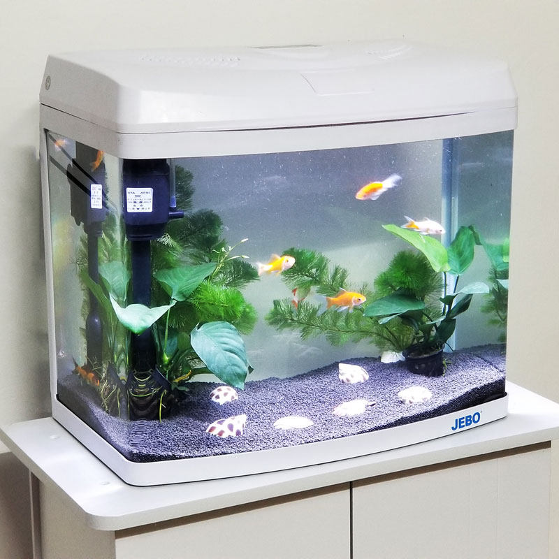JEBO佳宝迷你生态金鱼缸 免换水60CM玻璃桌面鱼缸