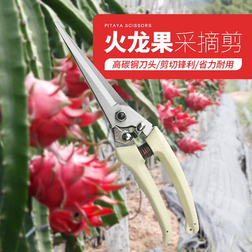 火龙果摘果剪刀葡萄蔬果枸杞花椒水果采摘园艺剪花卉修枝稀果剪刀