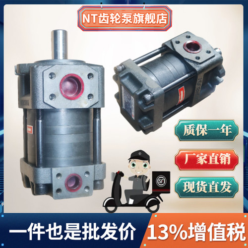 NT2-G10F G12F G16F NT3-G20F G25F G32F NT4-G40F G50F G63F油泵