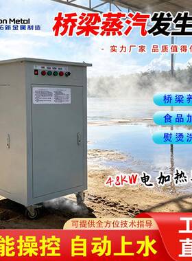 高速桥梁蒸汽养护机48千瓦电加热生器梁场电加热燃油蒸汽发生器