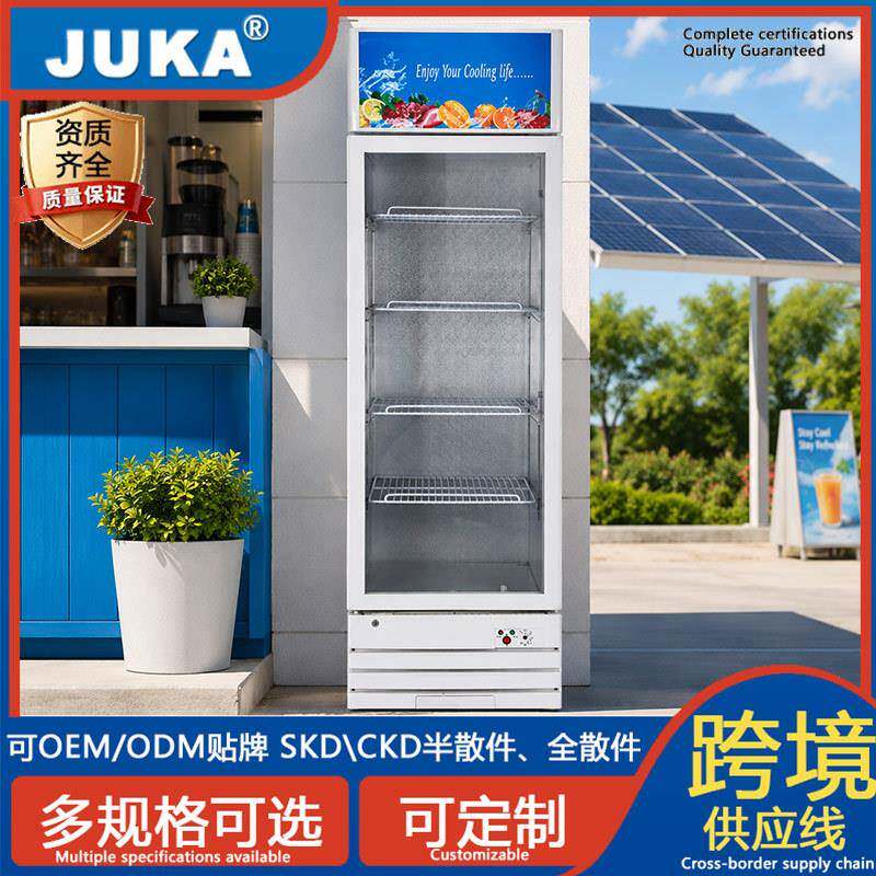 DC太阳能立式玻璃门展示柜无电区饮料冷藏柜商用太阳能保鲜陈列柜
