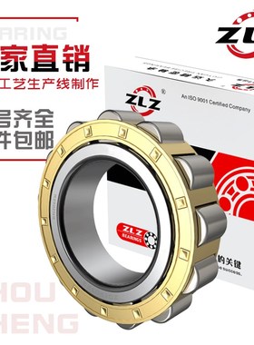 轴承RN205 RN206 rn307m 308减速机rn309 312滚子219正品222M轴承